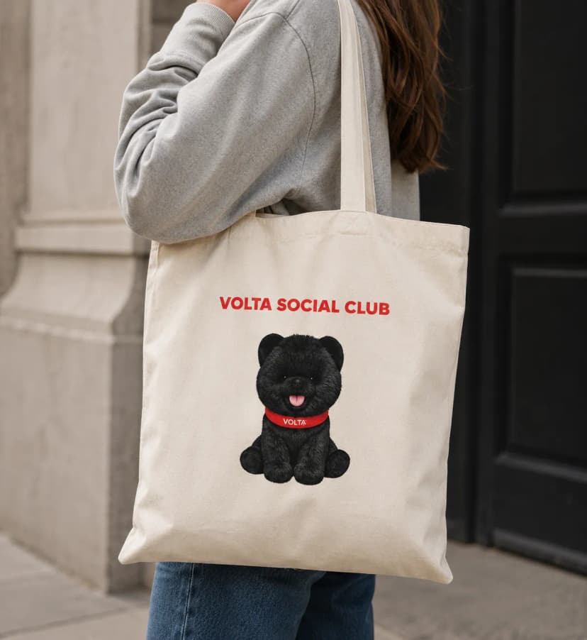 Tote bag Volta