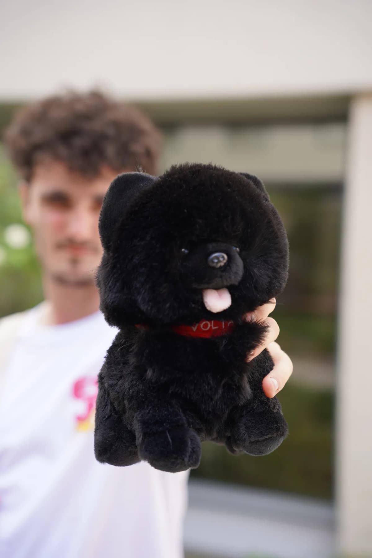 Peluche Volta