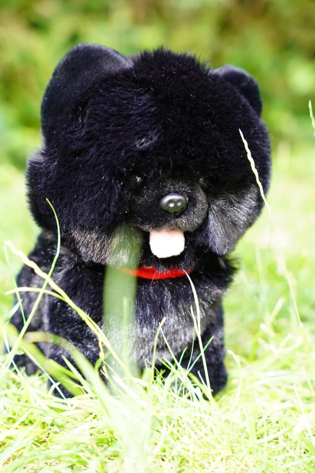 Peluche Volta - 2